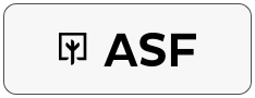 Asf Yapı