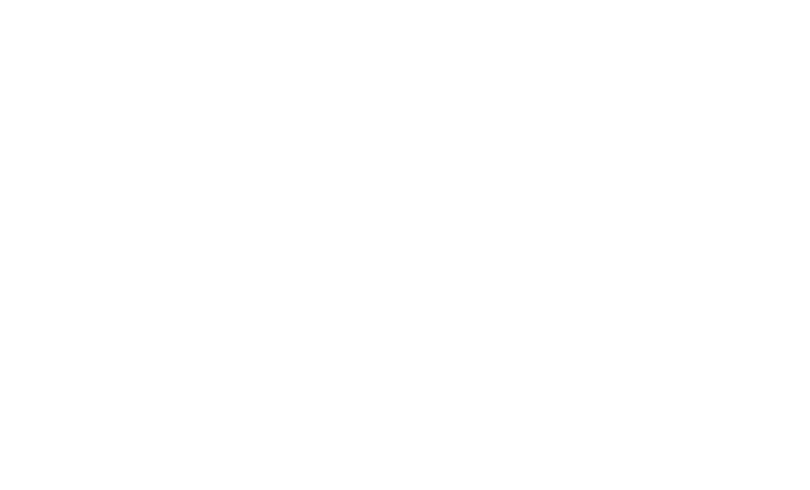 sare partner